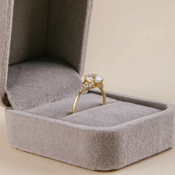 Anillo de compromiso Princesa Destellos - Imagen 2